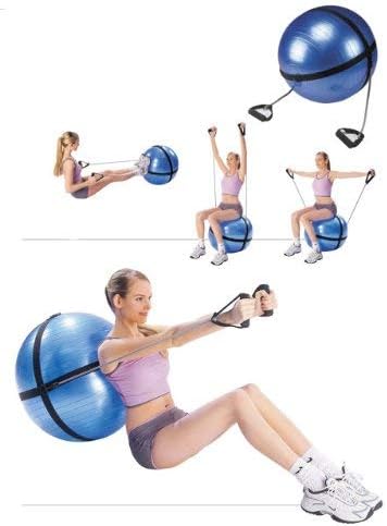 Amber Sports Weight Plate Storage